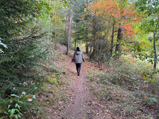 Willkommen im Wurzelglanz Blog "Waldgeflüster"