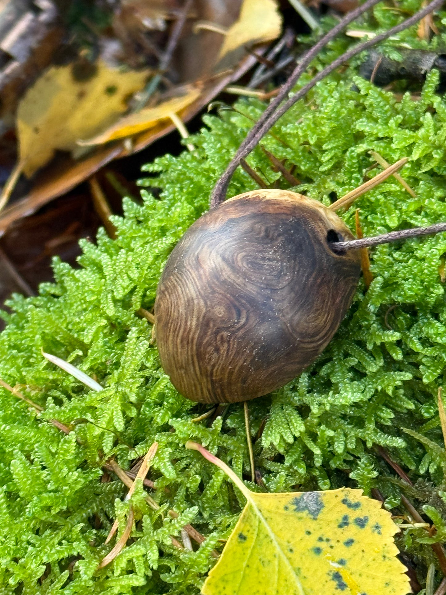 Baumperlenkette aus Erle mit Mondstein